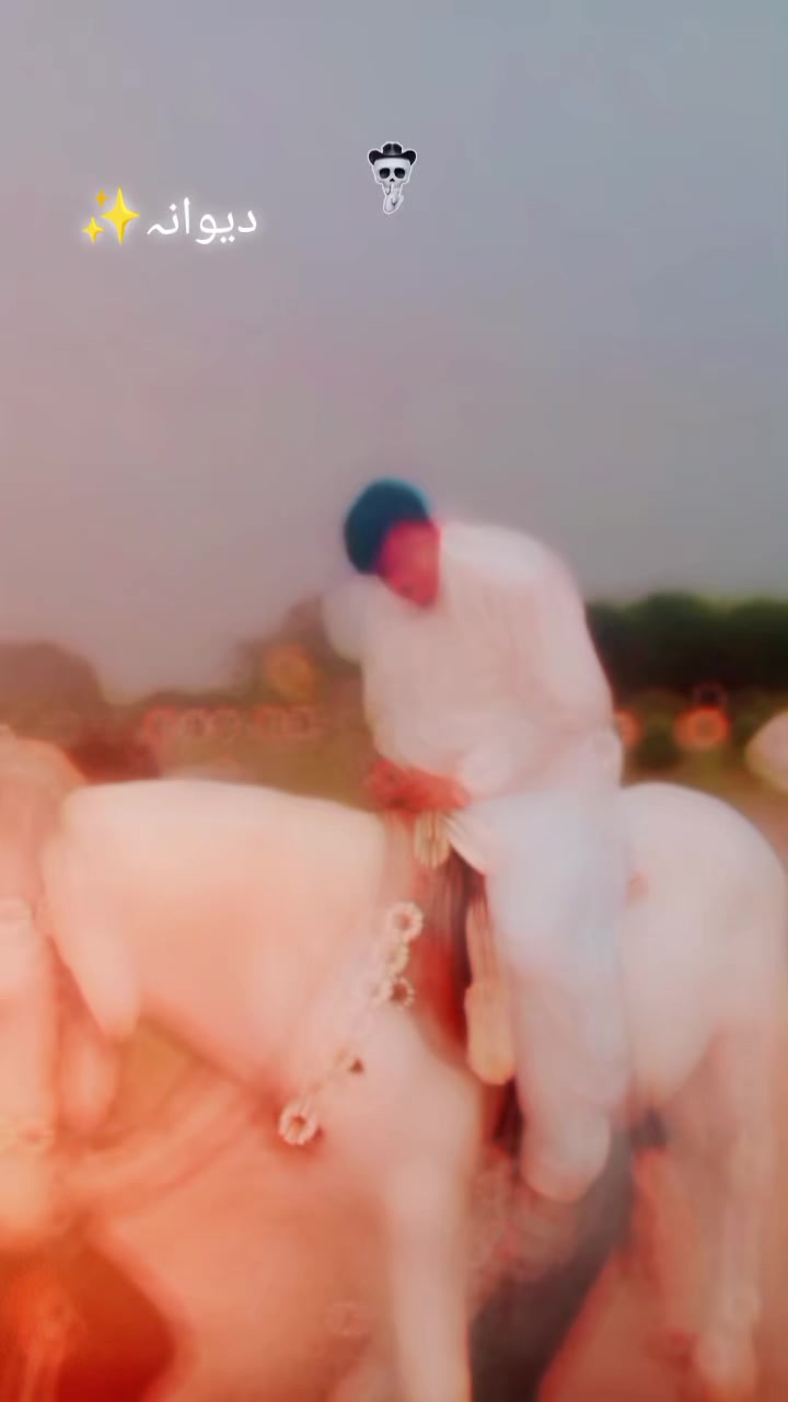 @𝐏𝐭𝐢_𝐓𝐢𝐠𝐞𝐫˚₊· ͟͟͞͞➳❥