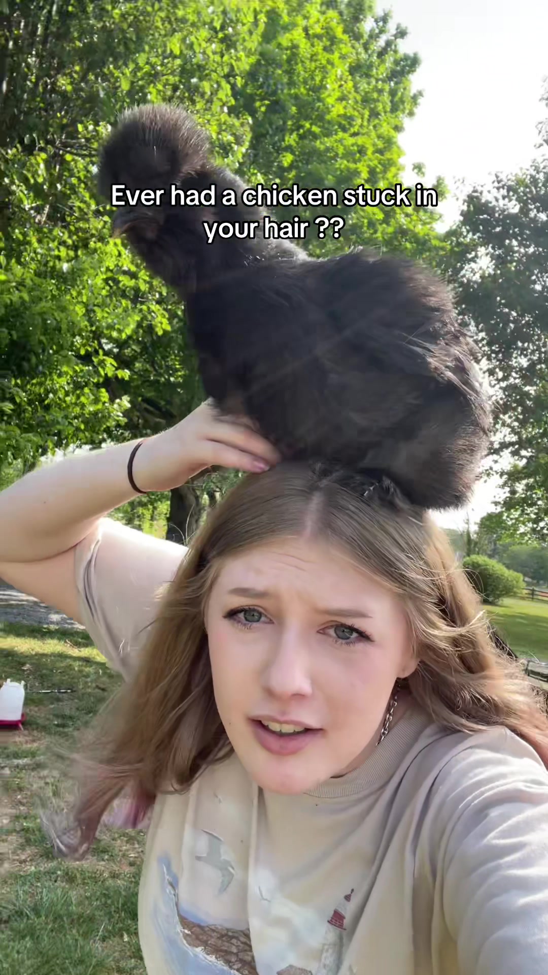 @Emily Dahl