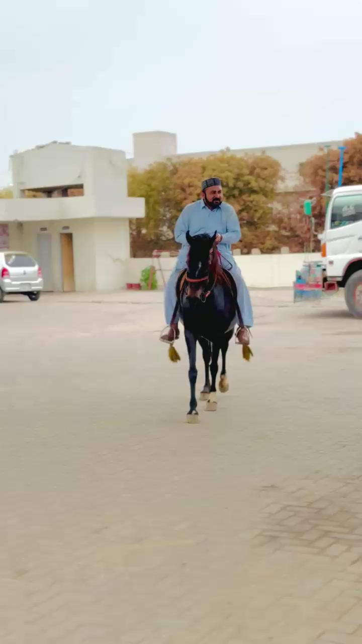 @Asif 129