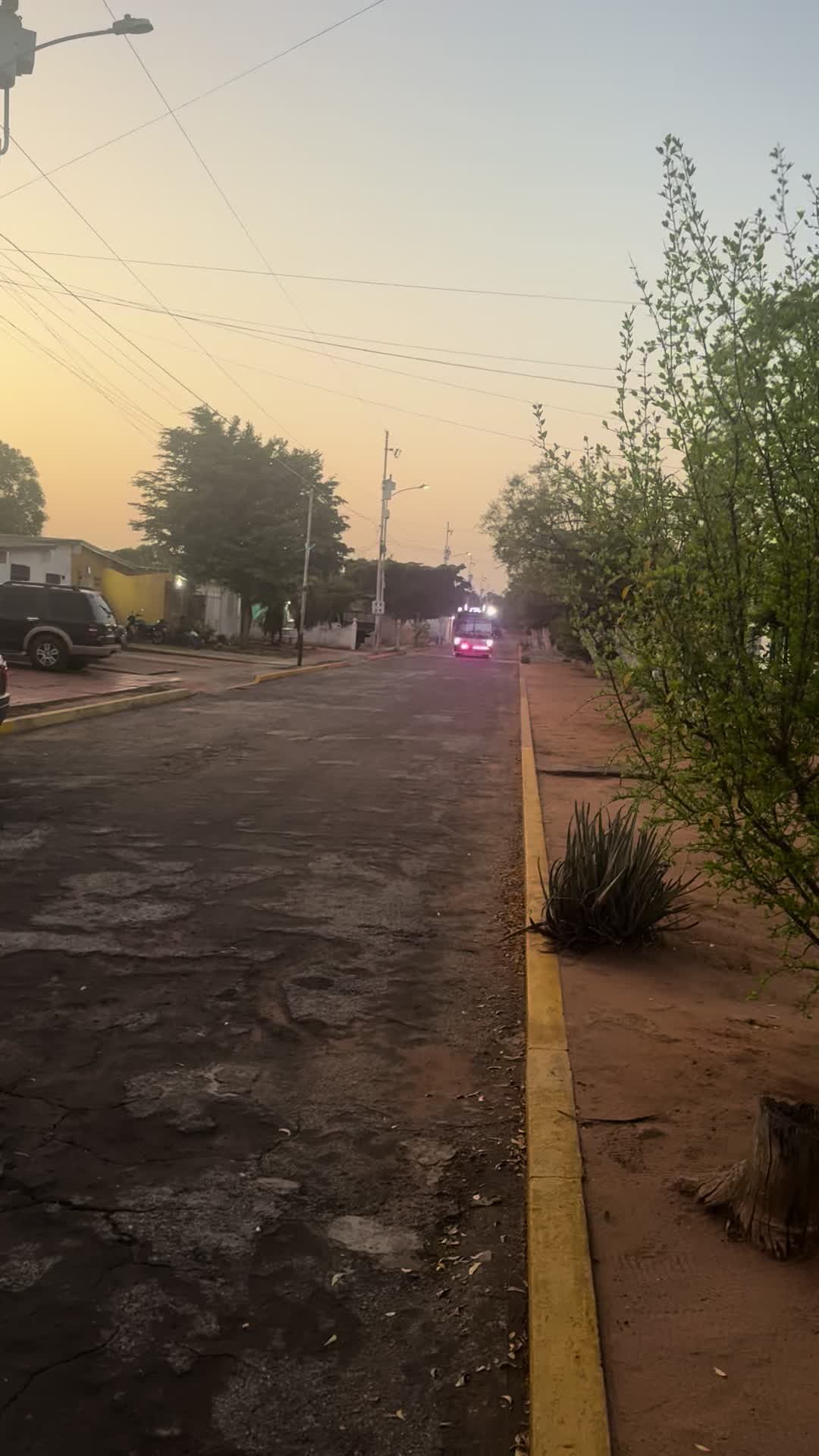 @elparrandero_20