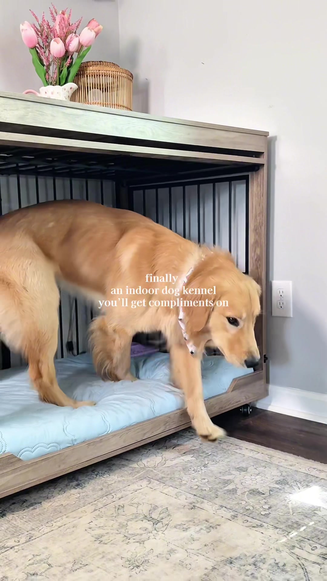 @Josi B🐕