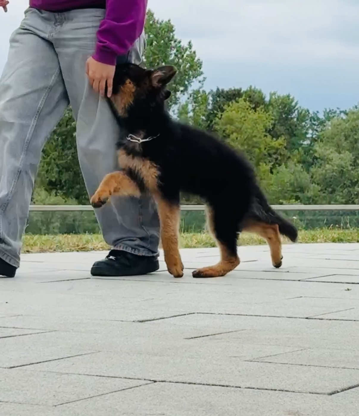@🐾