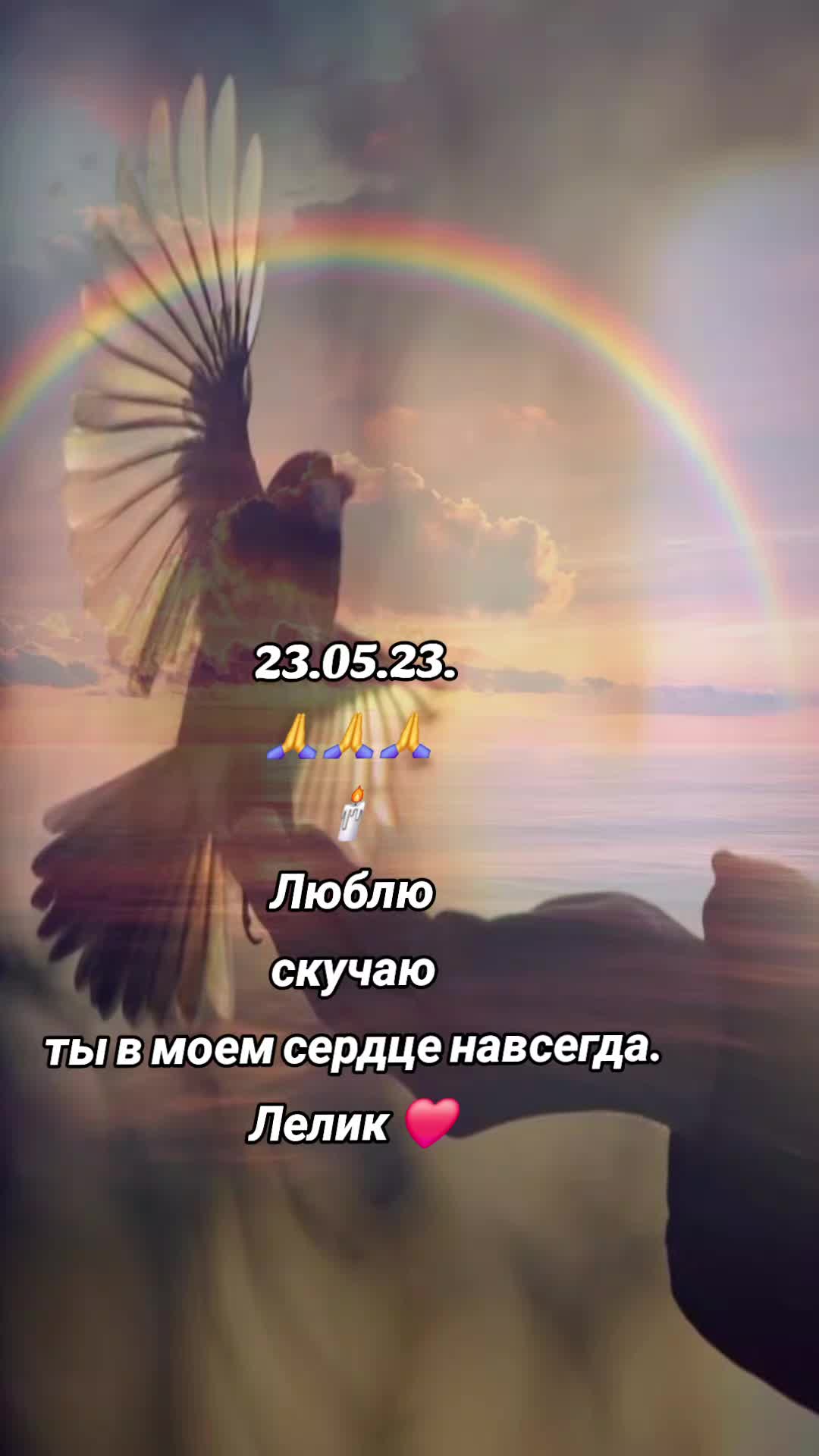 @👑🦁 Weiße Julwiza 🦁👑