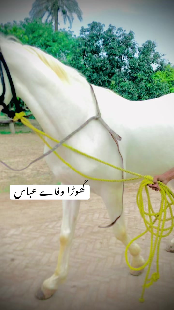 @ARسLAN^ :HARAج