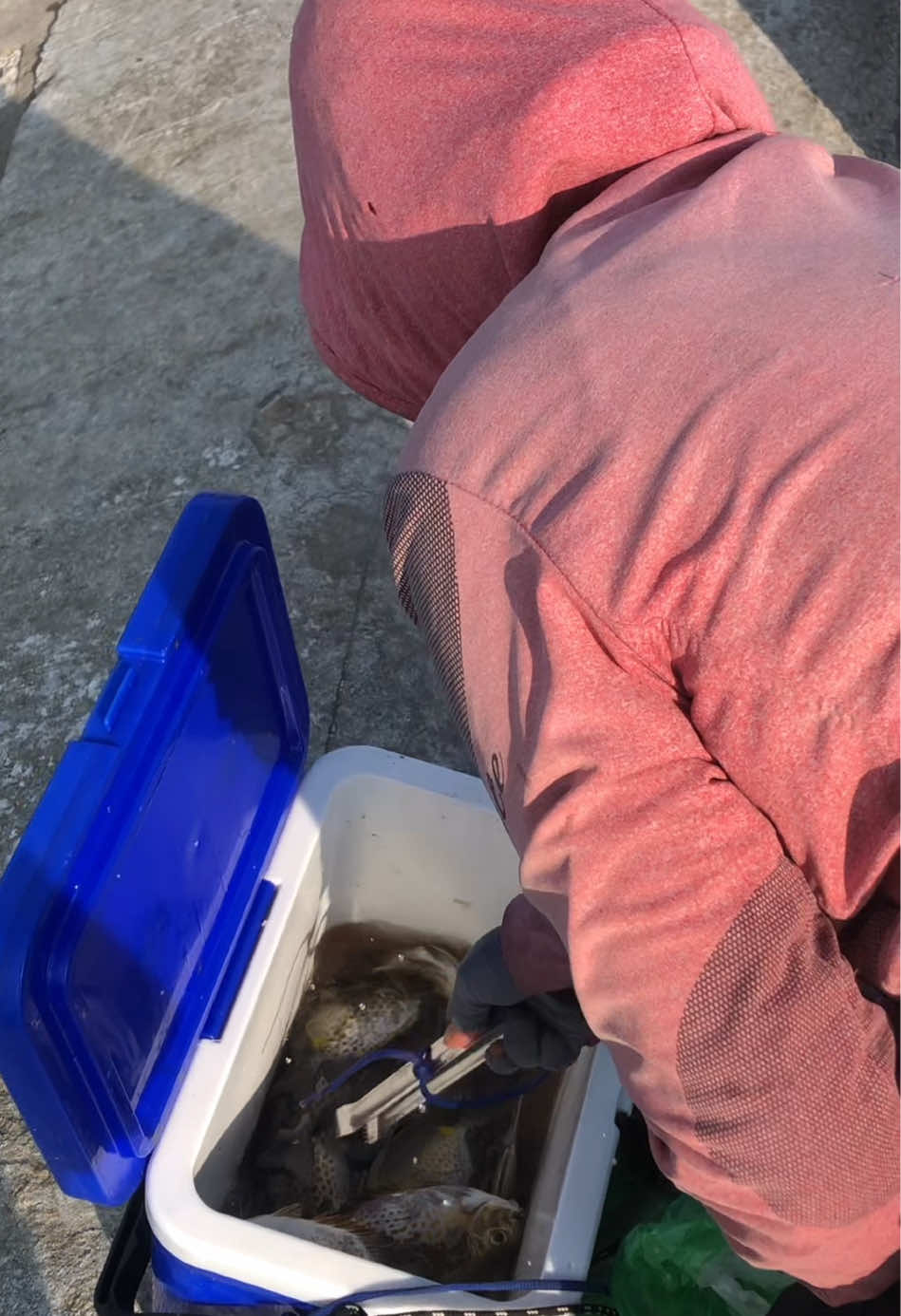 @Nha Trang fishing tour