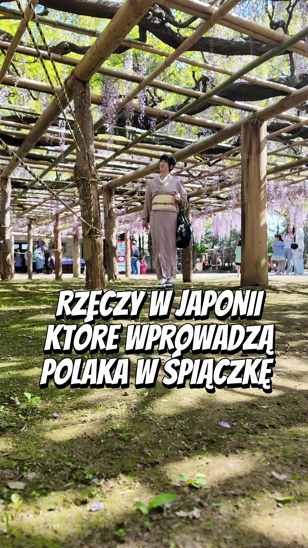 @JA CI DAM JAPONIA
