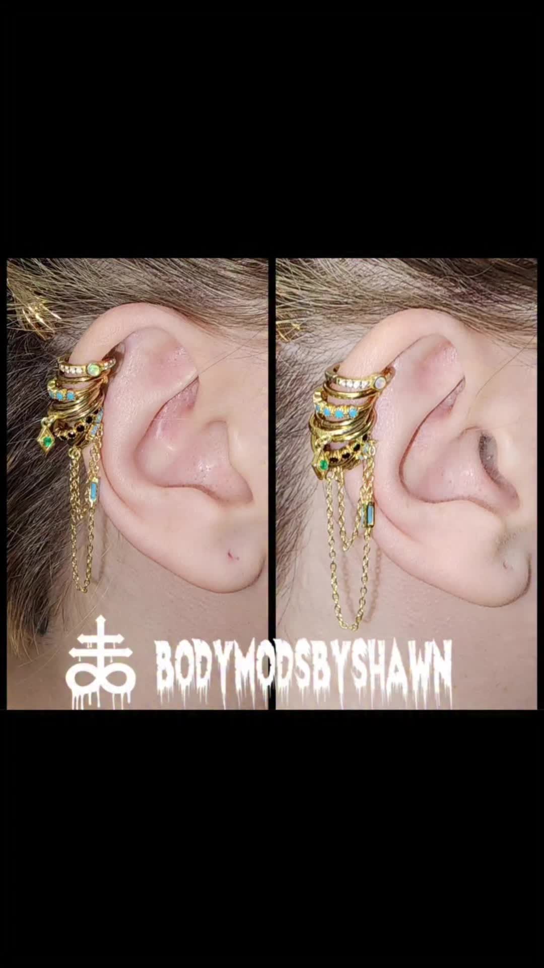 @BodymodsbyShawn