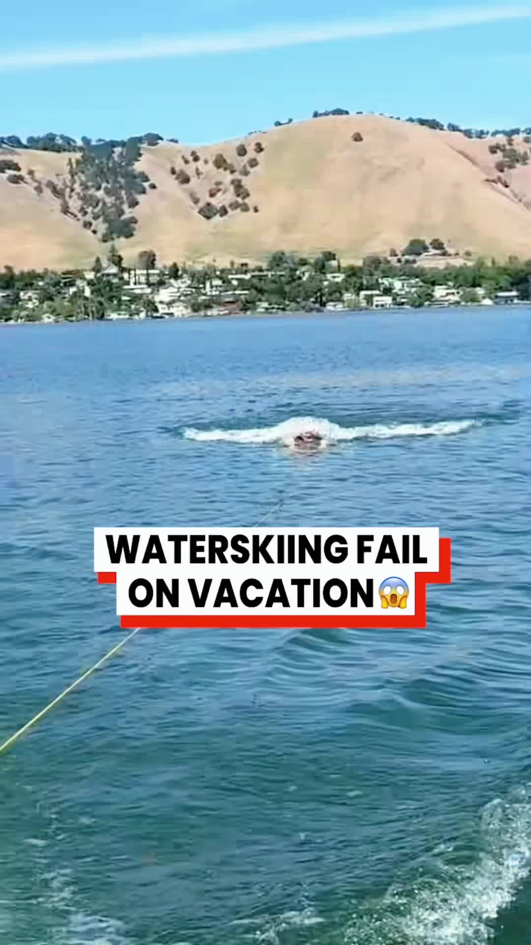 @petfunnytime6368
