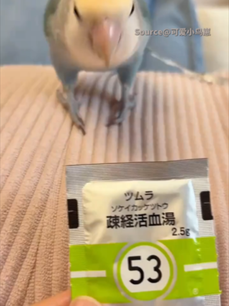 @TrendZ_CN