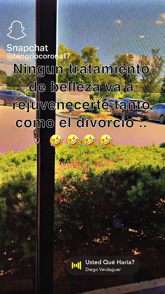 @sofiaalvarez5626