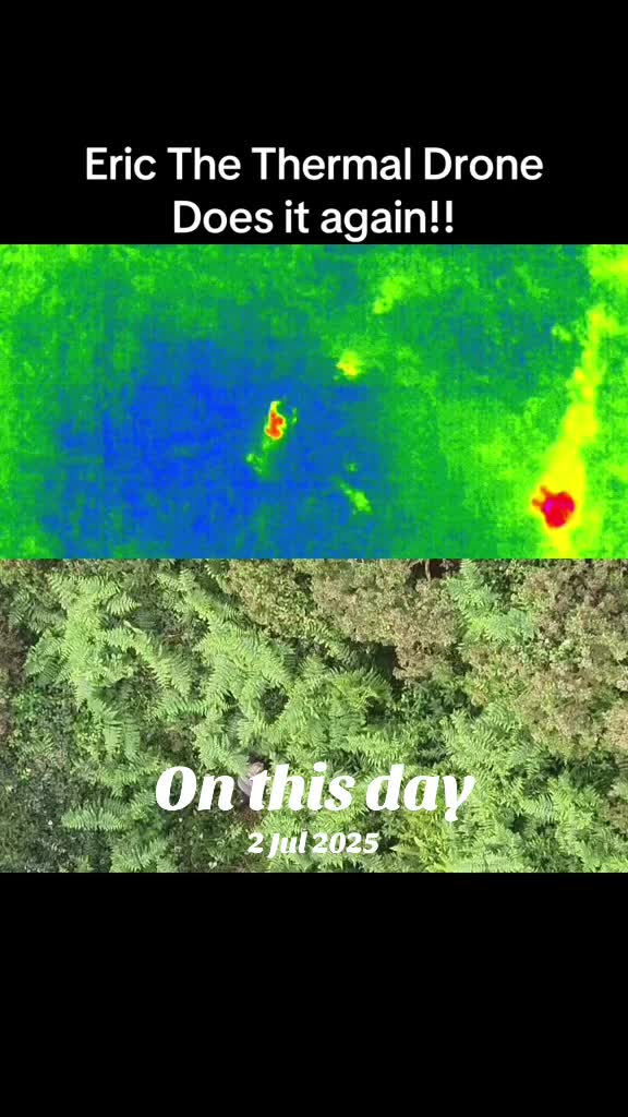 @Plans & Drones