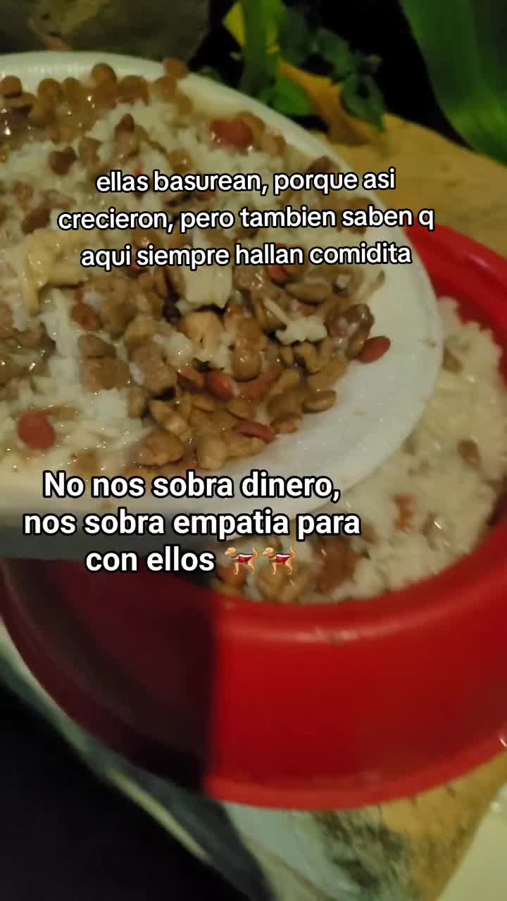 @𝕃𝕚𝕤𝕤 ℝ𝕖yes🇸🇻