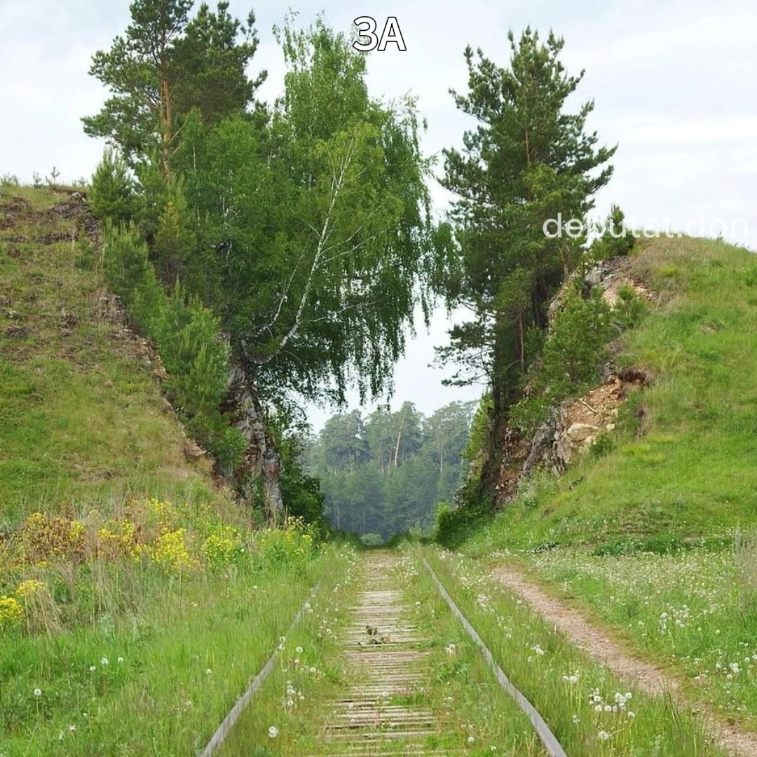 @Депутат Дон