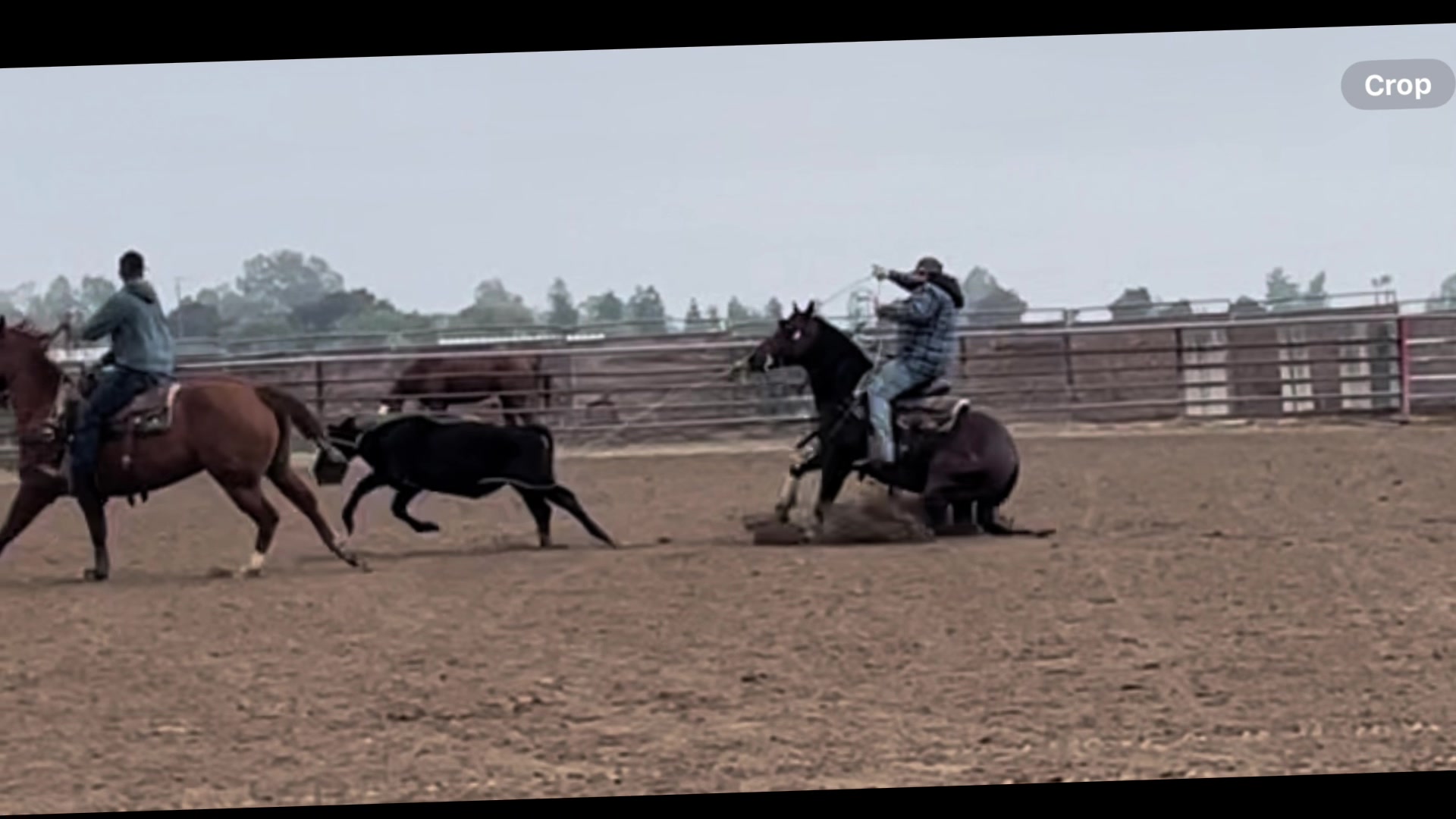 @Cord Forzano Rope Horses