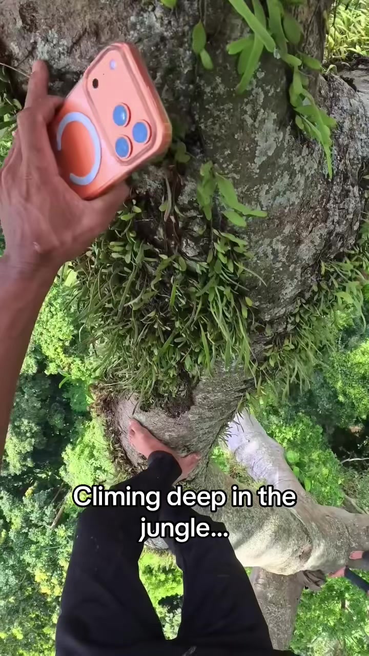 @IwishIwastheredude