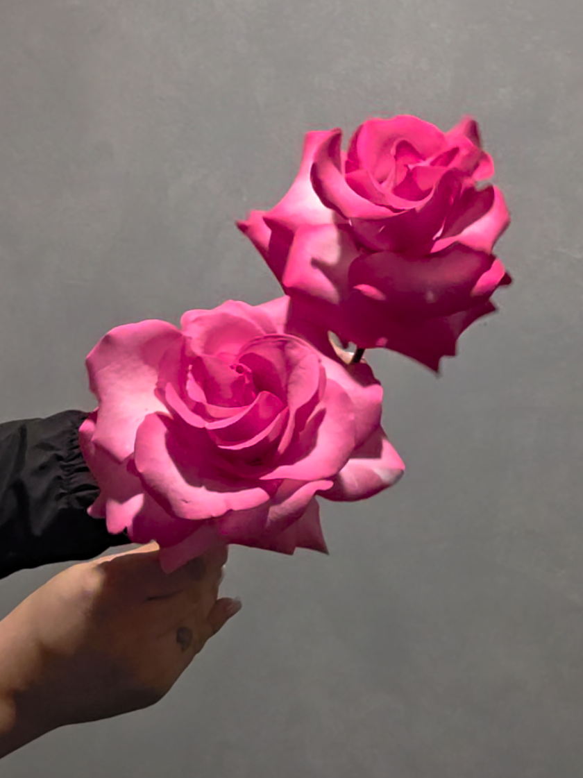 @Faith Fleurs