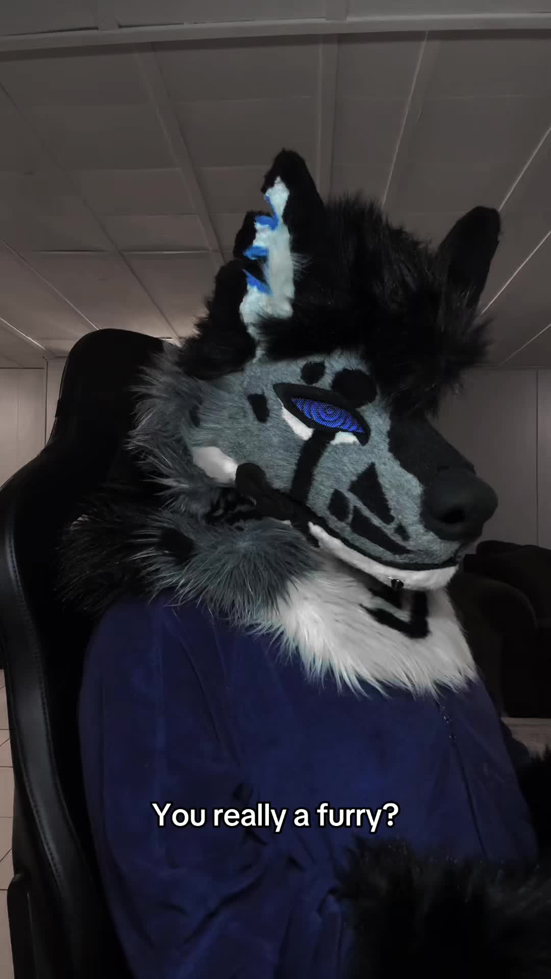 @sonar_hyena_shark