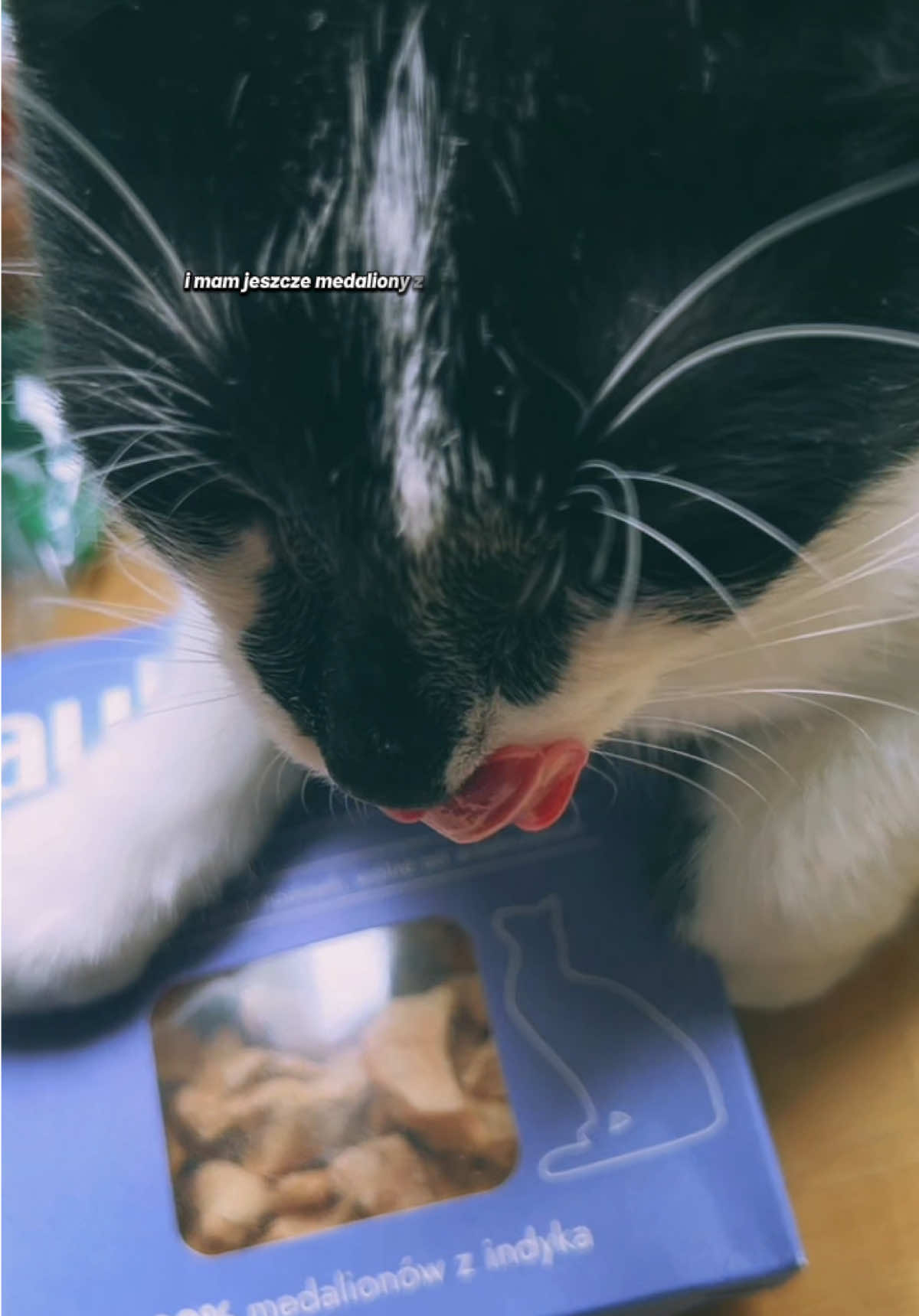@ASIA 🐈&zwj;⬛ ig: asia_luczkowska