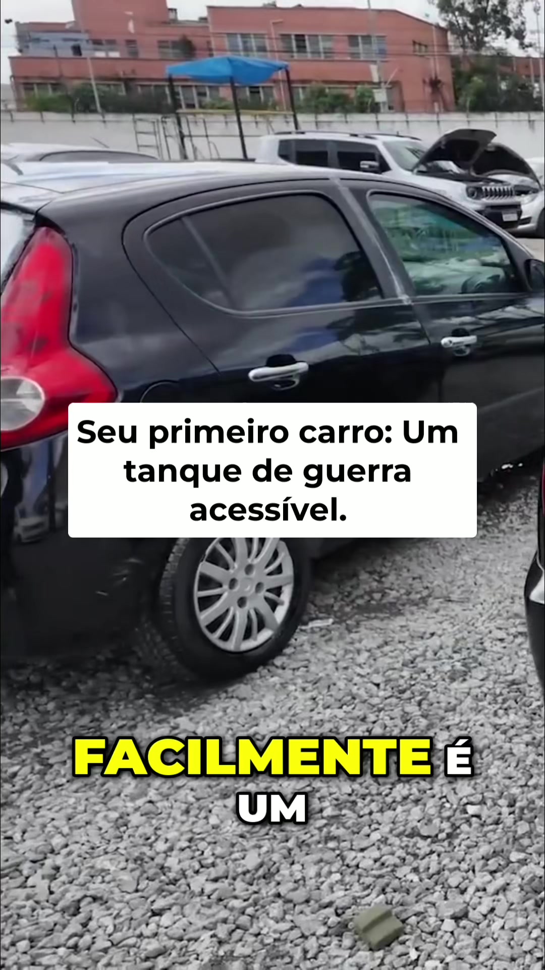 @Cortes tudo sobre Leilao