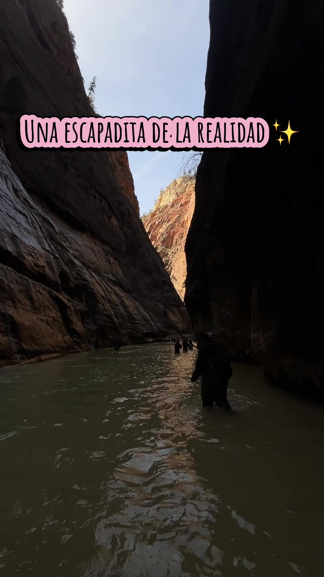 @Ale Almanzar
