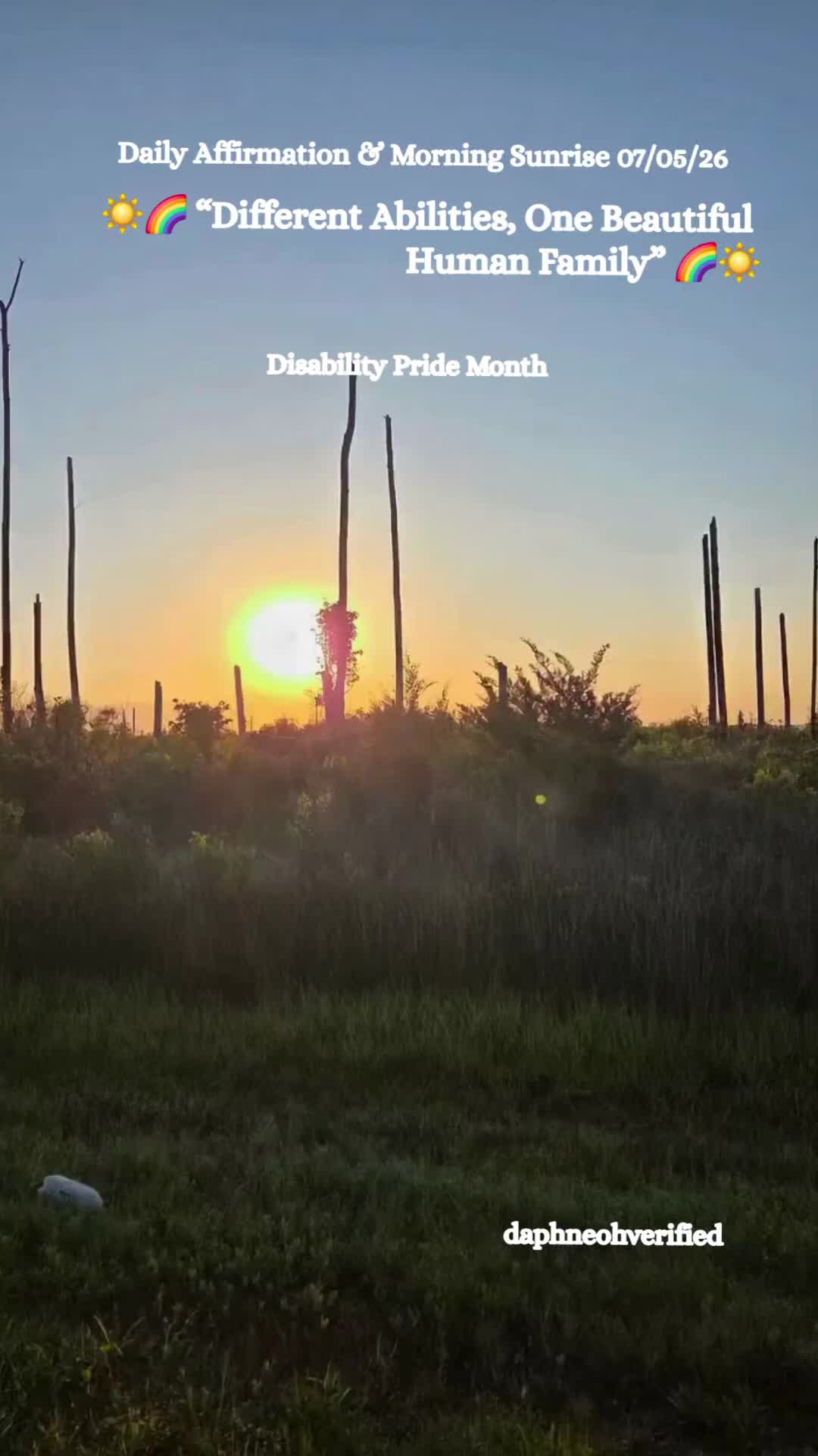 @DaphneOh🏳️🌈