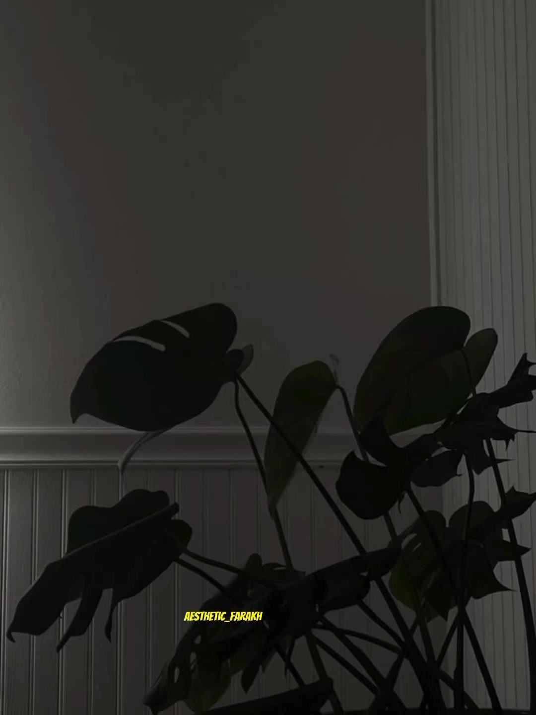 @༄𝘼𝙎𝙏𝙃𝙀𝙏𝙄𝘾