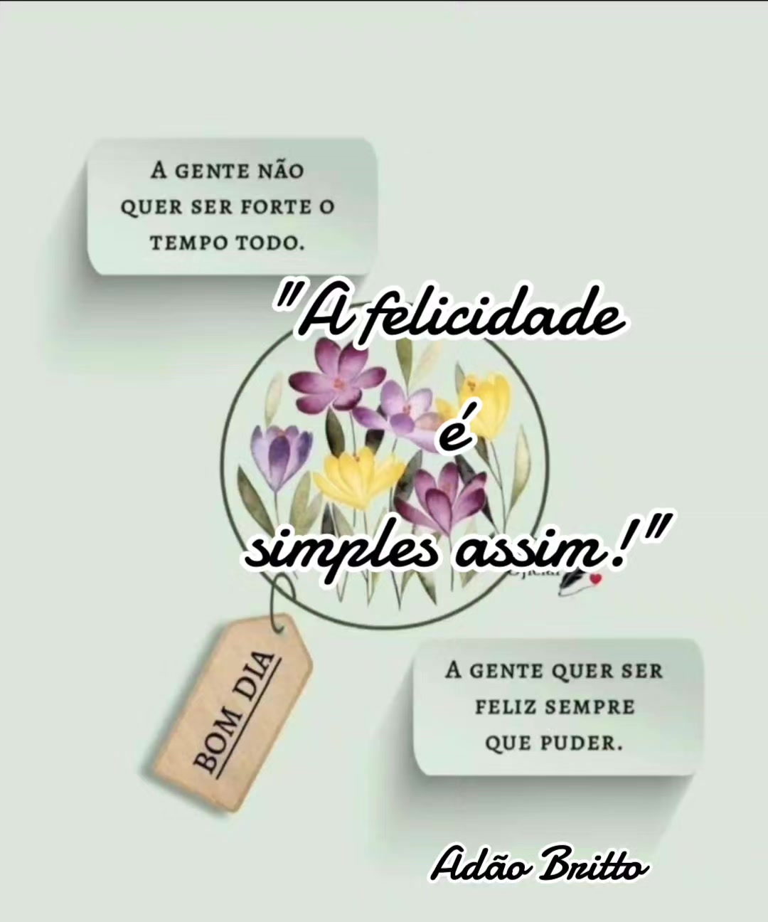 @Ad&atilde;o Britto