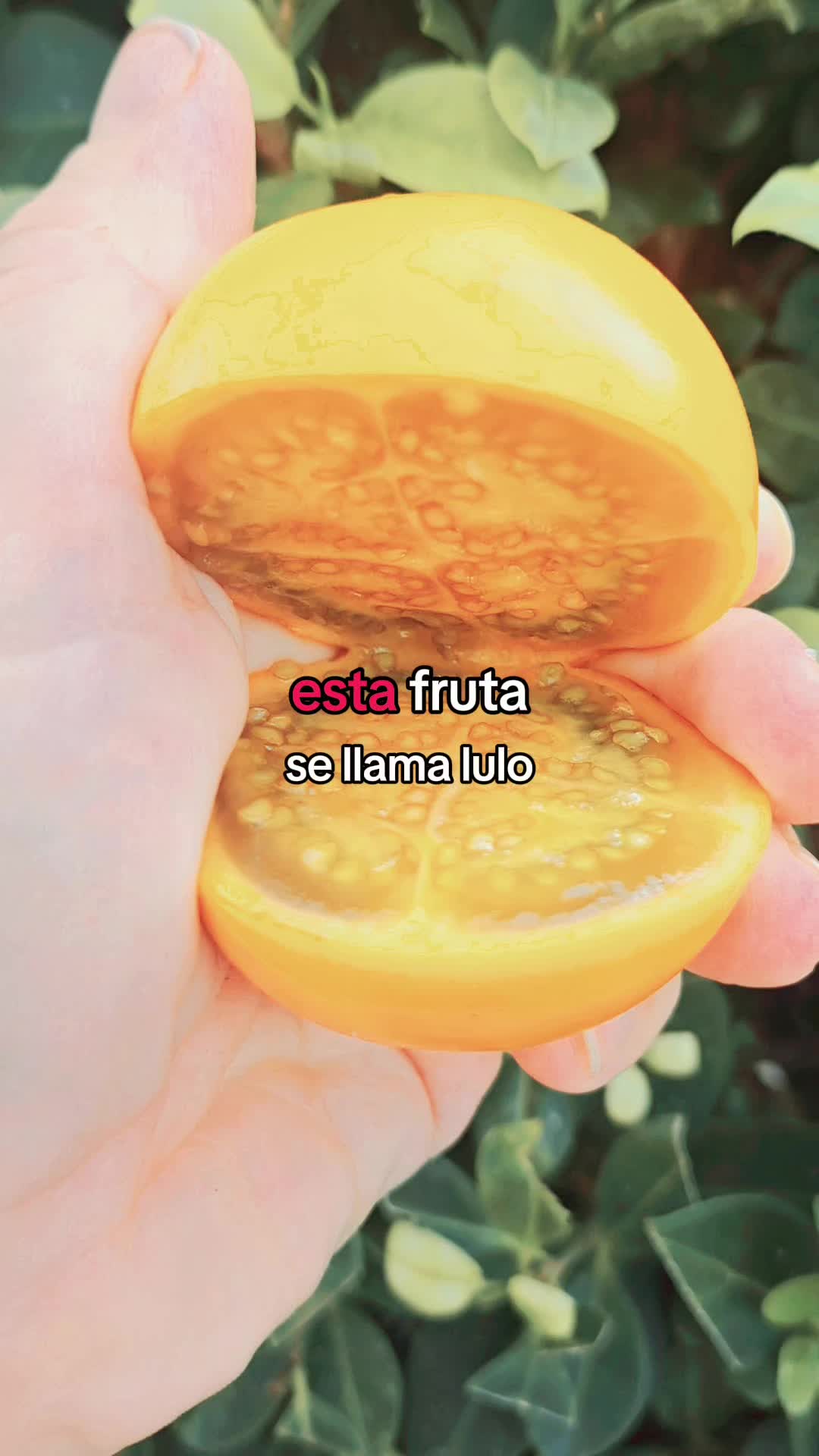 @CasaTrese