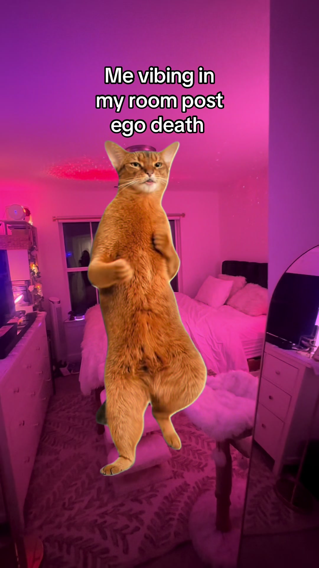 @michellemultidimensional