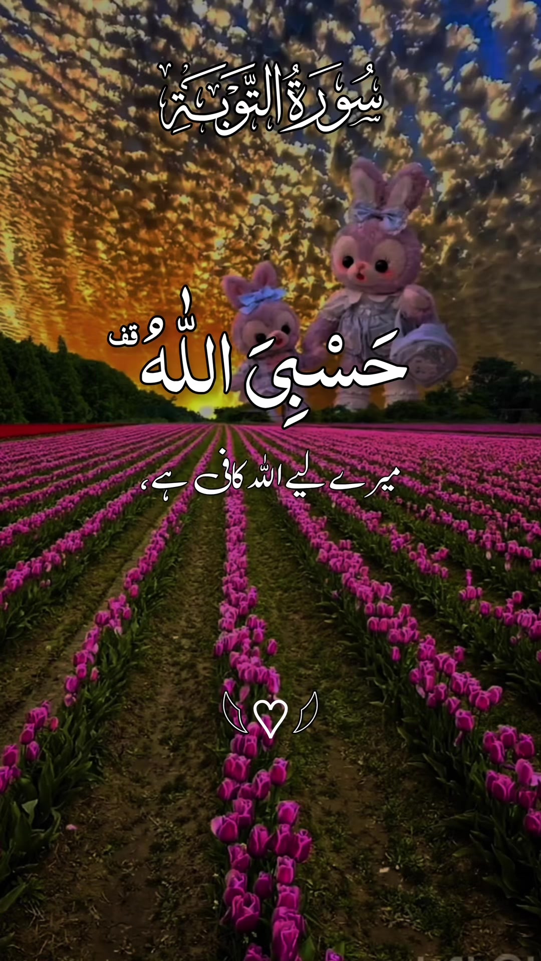 @❣️ Words of Allah ❣️