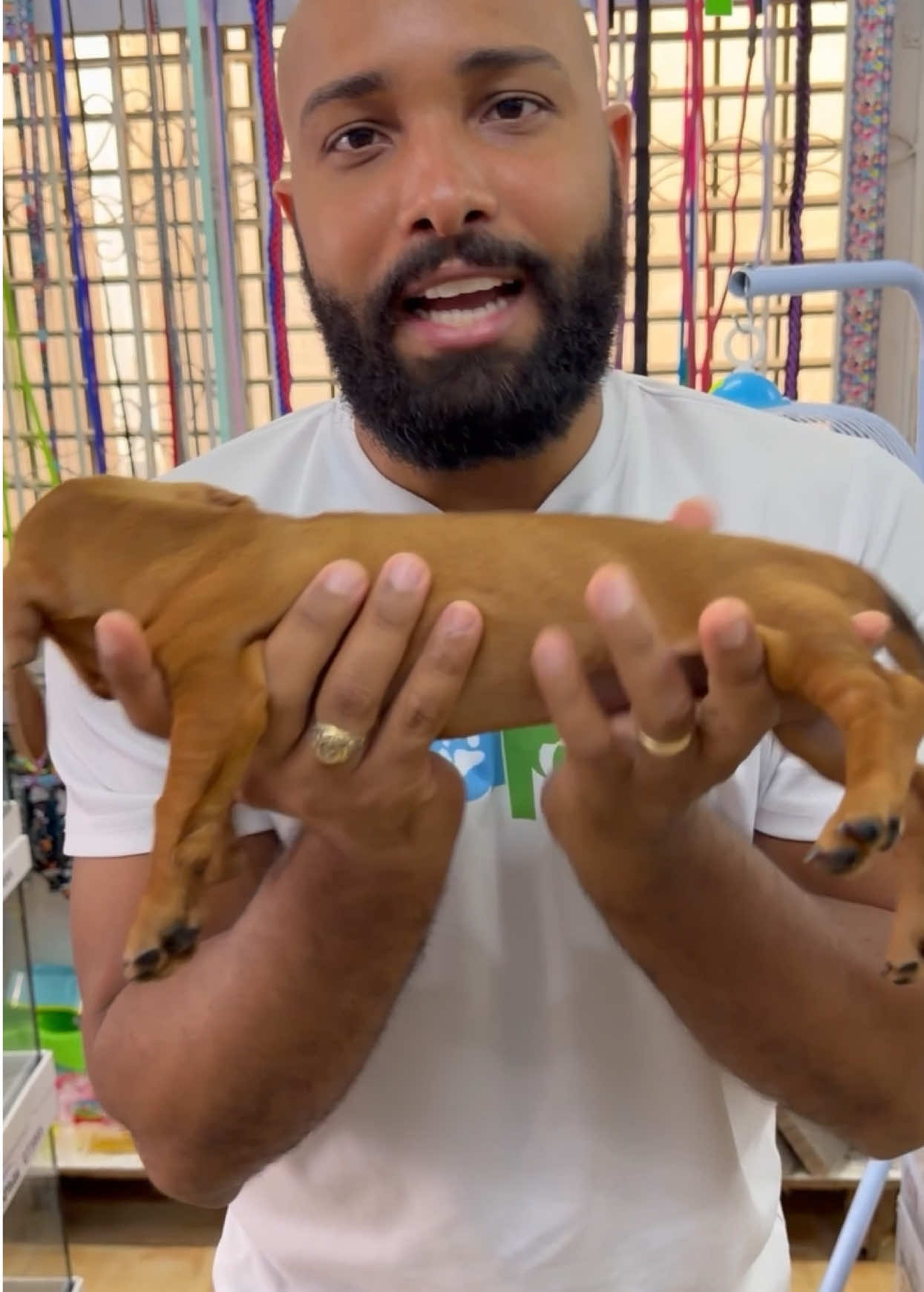 @Seapet