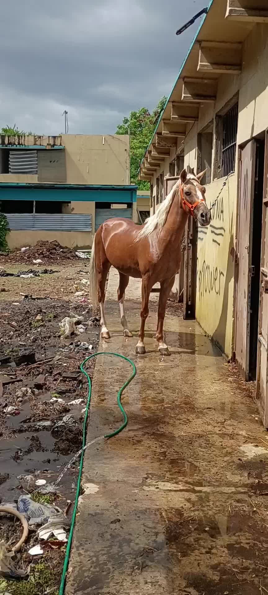 @Hacienda Los Queridos