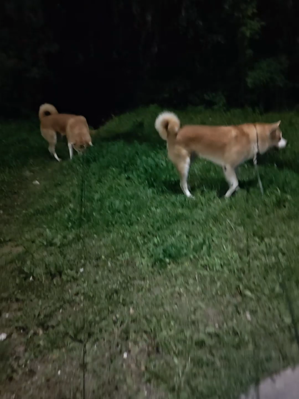 @тгк: соня вездеход