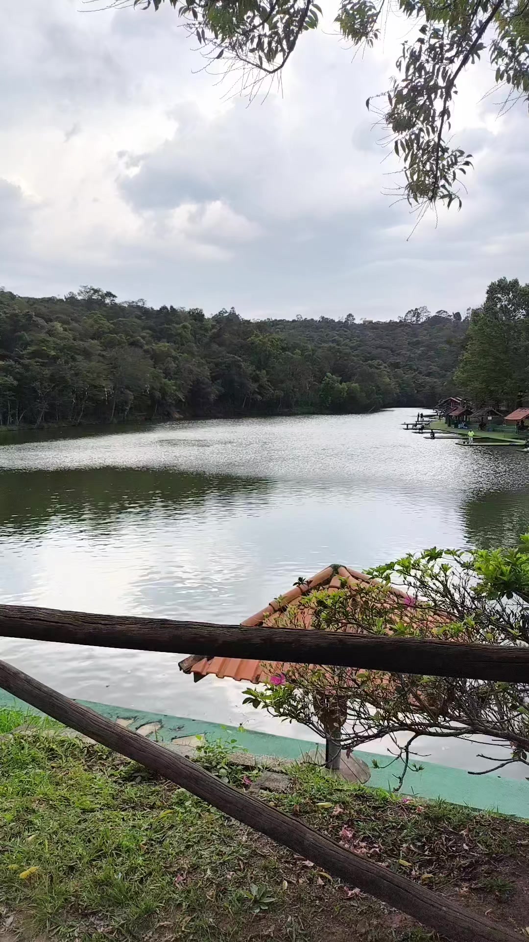 @Patr&atilde;o da Pesca
