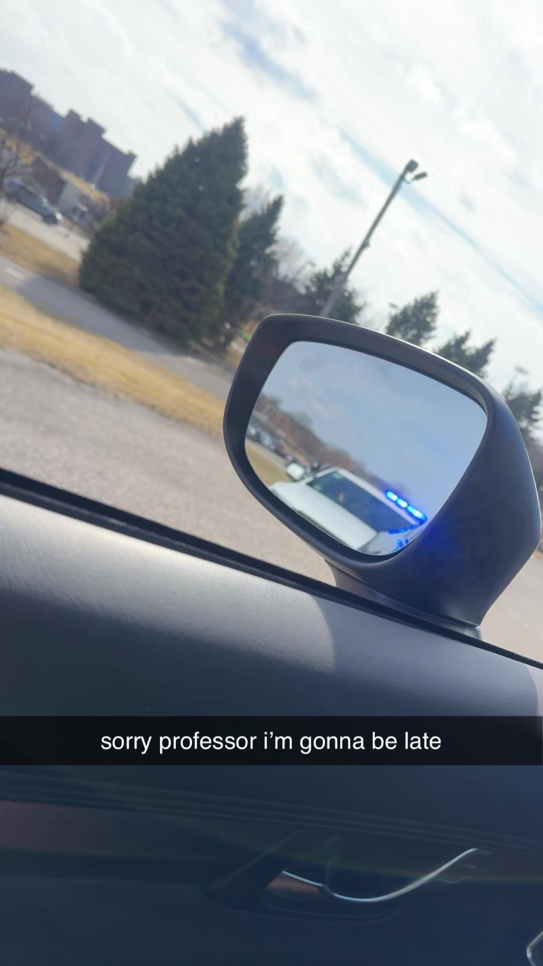 @MADY LAMB