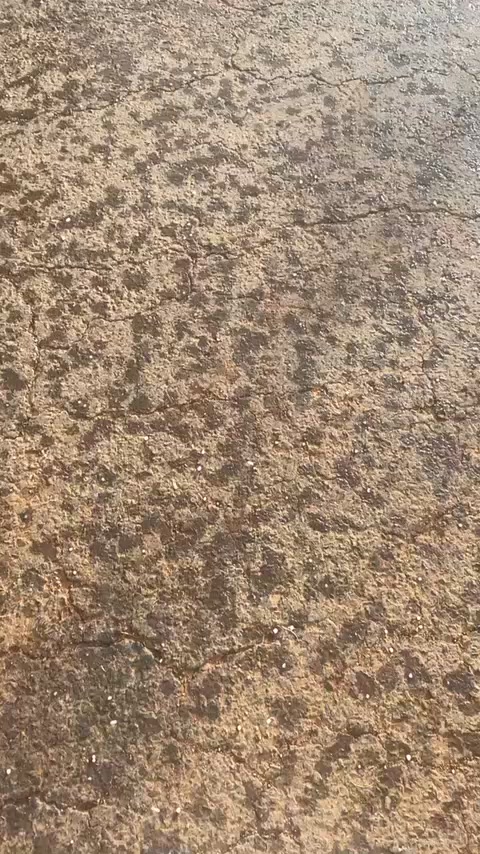 @آبووسآم برق آلَساحل⚡️⛈️