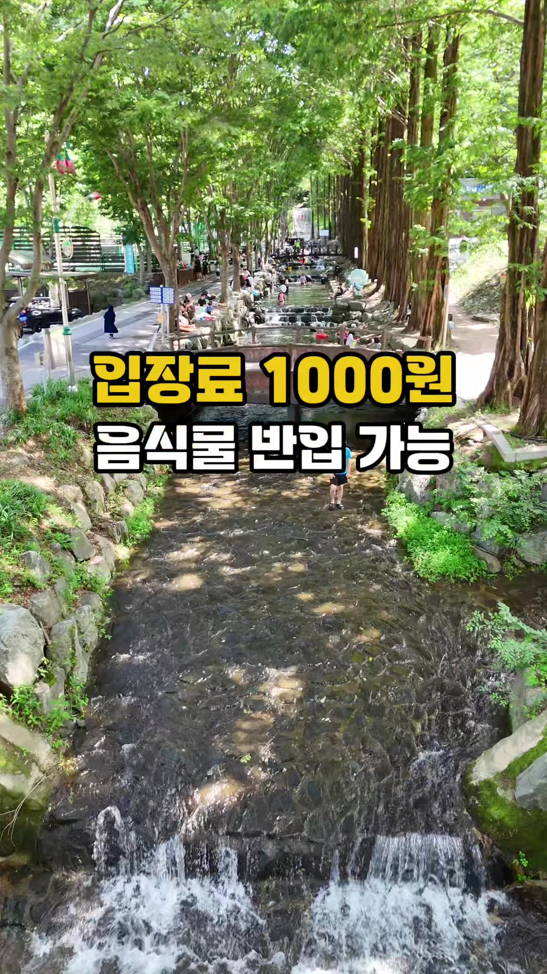@킴보