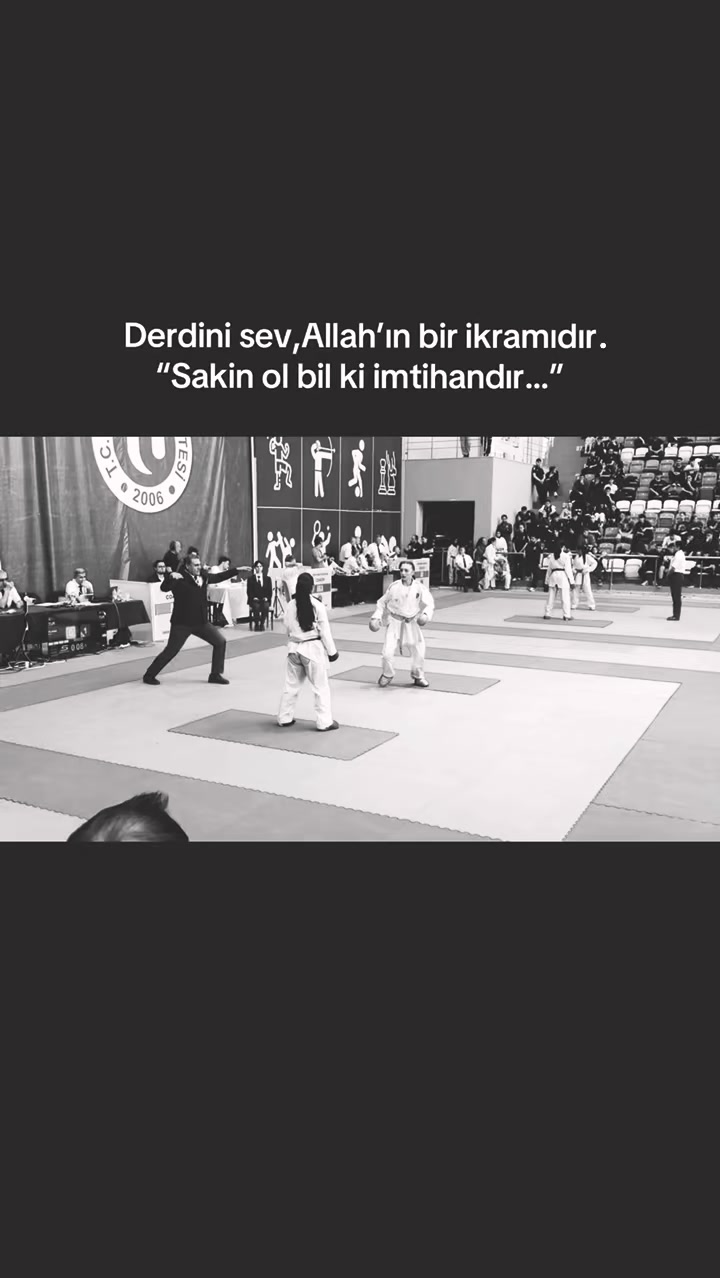 @elasuyidirim69