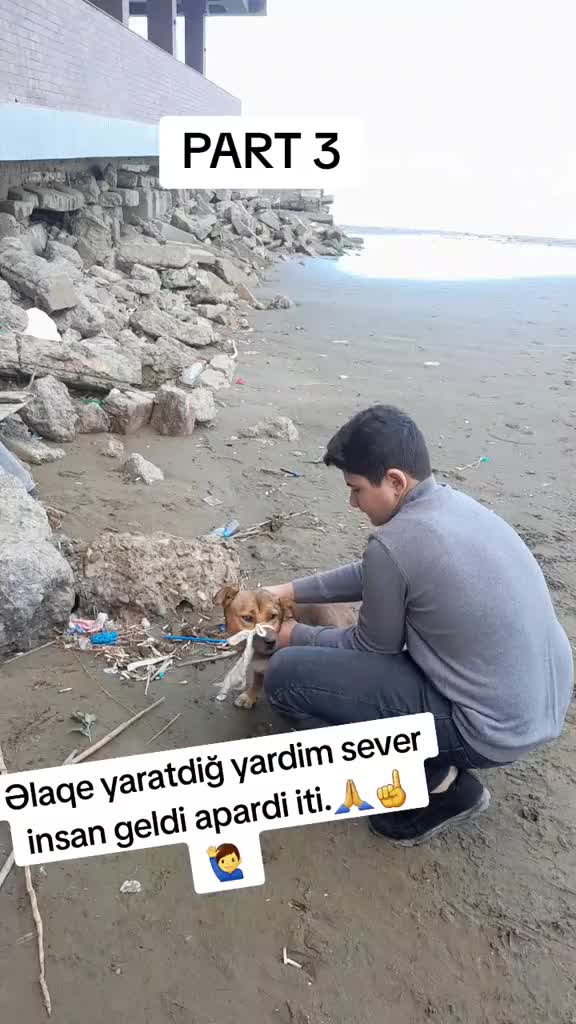 @Samir.Boxing846