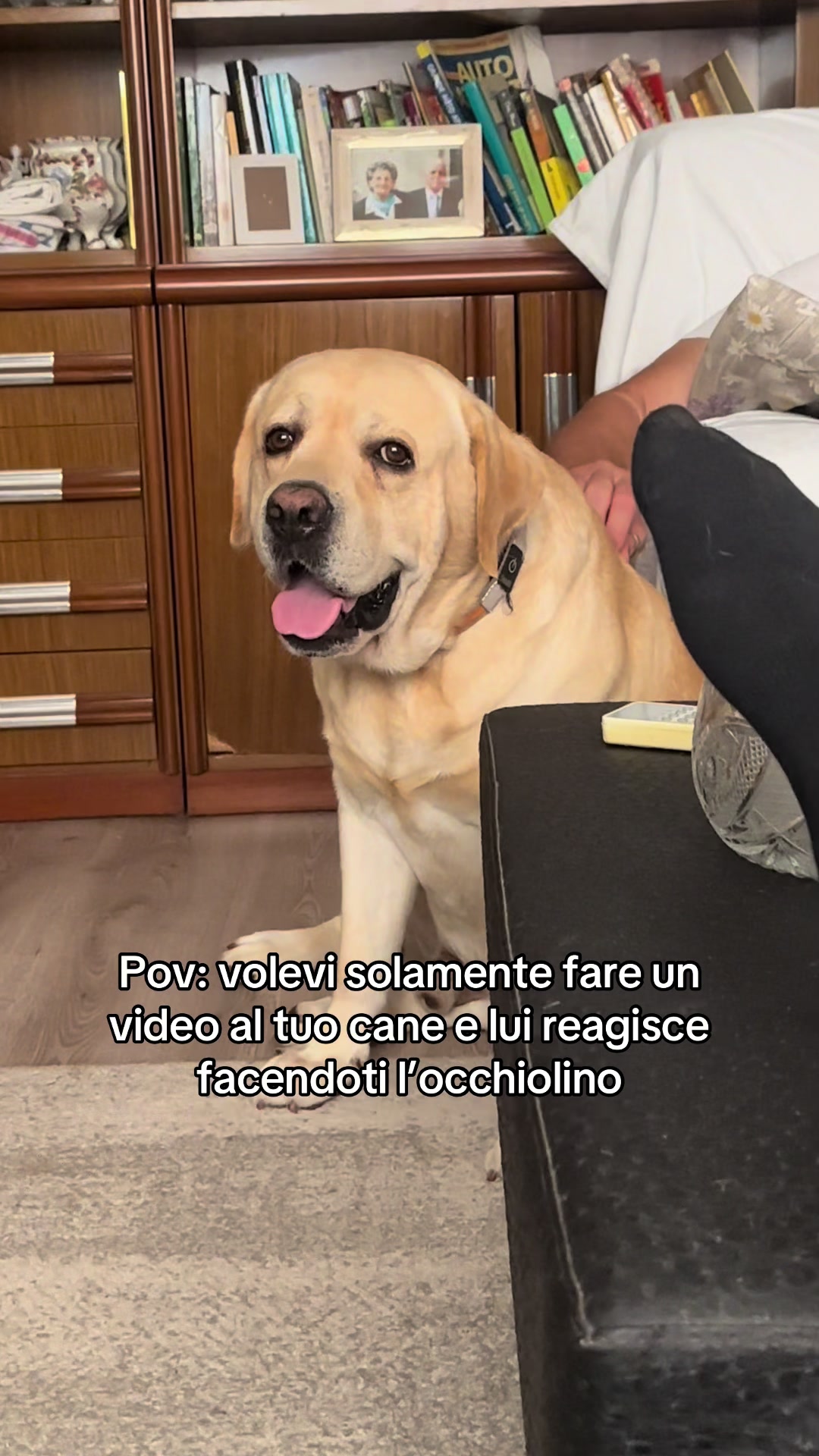 @francescobaccegareal