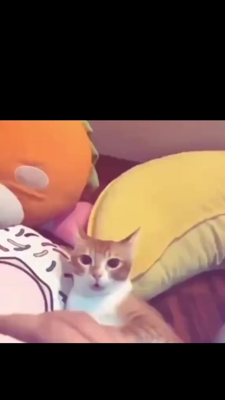 @ASTAIZZZA