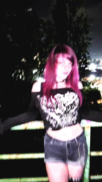 @the_last_meow