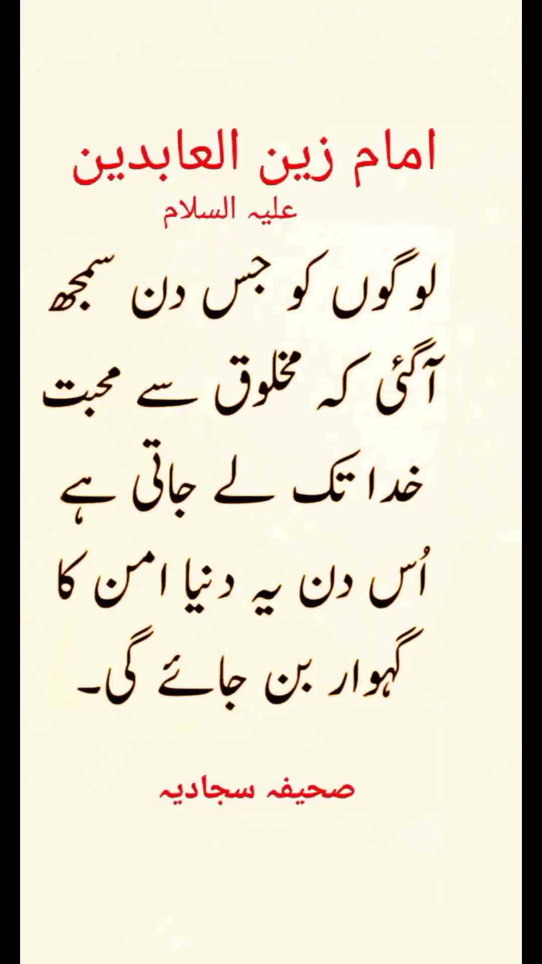 @🦁Saqib Turi 313🦁