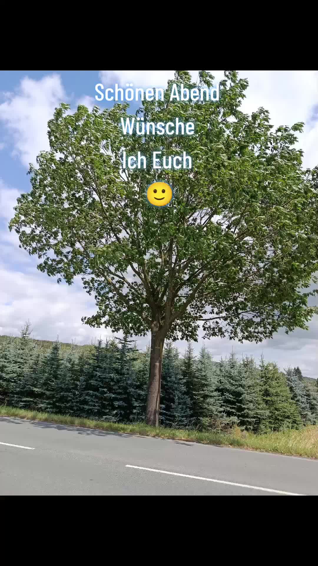 @44OLA4
