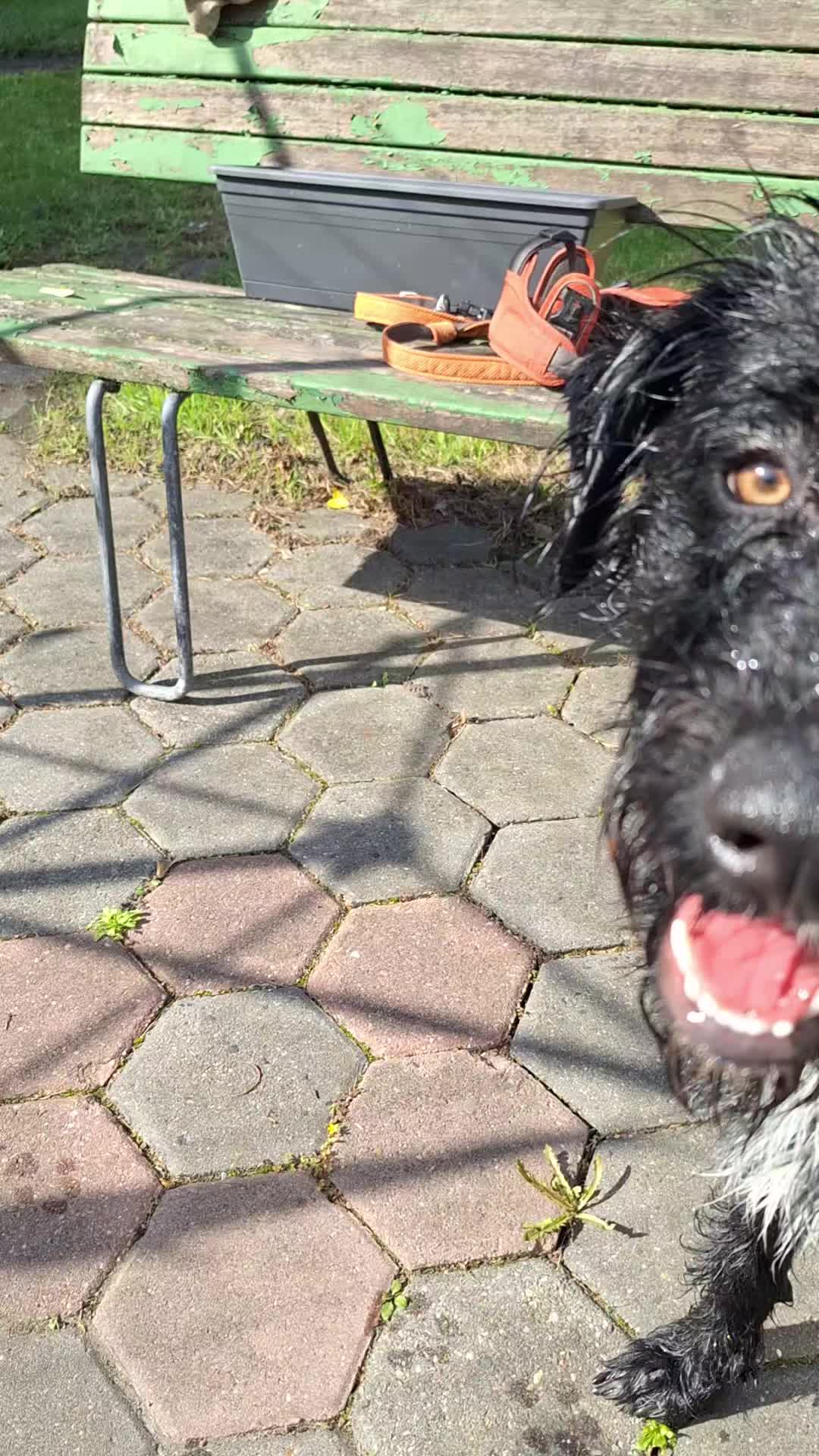 @Strobelmix Frauchen
