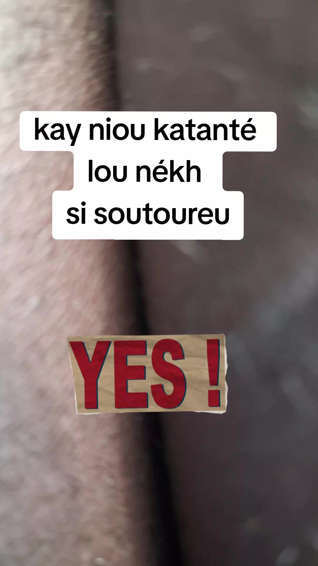 @nekh coy