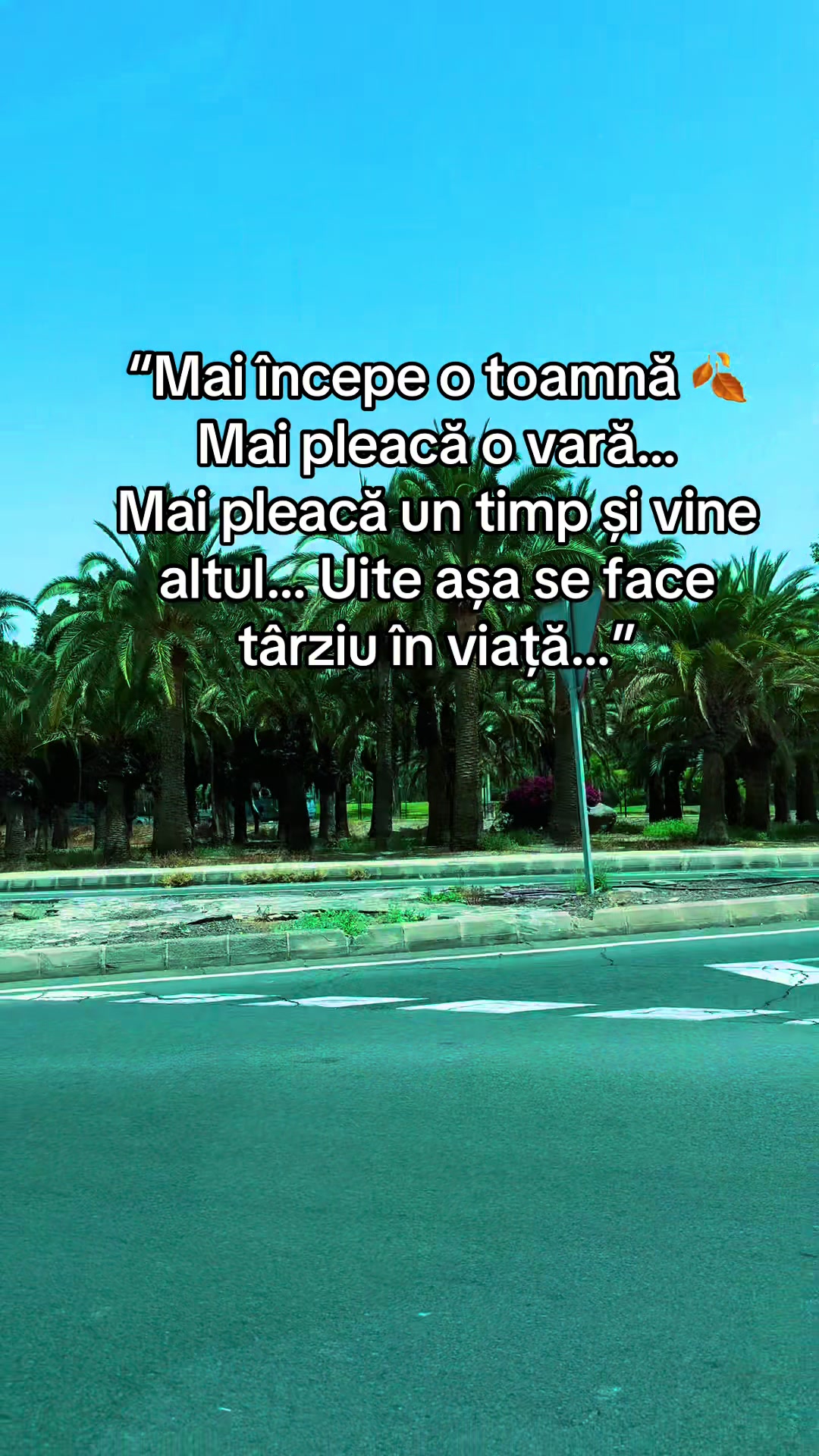 @Marina Poenaru