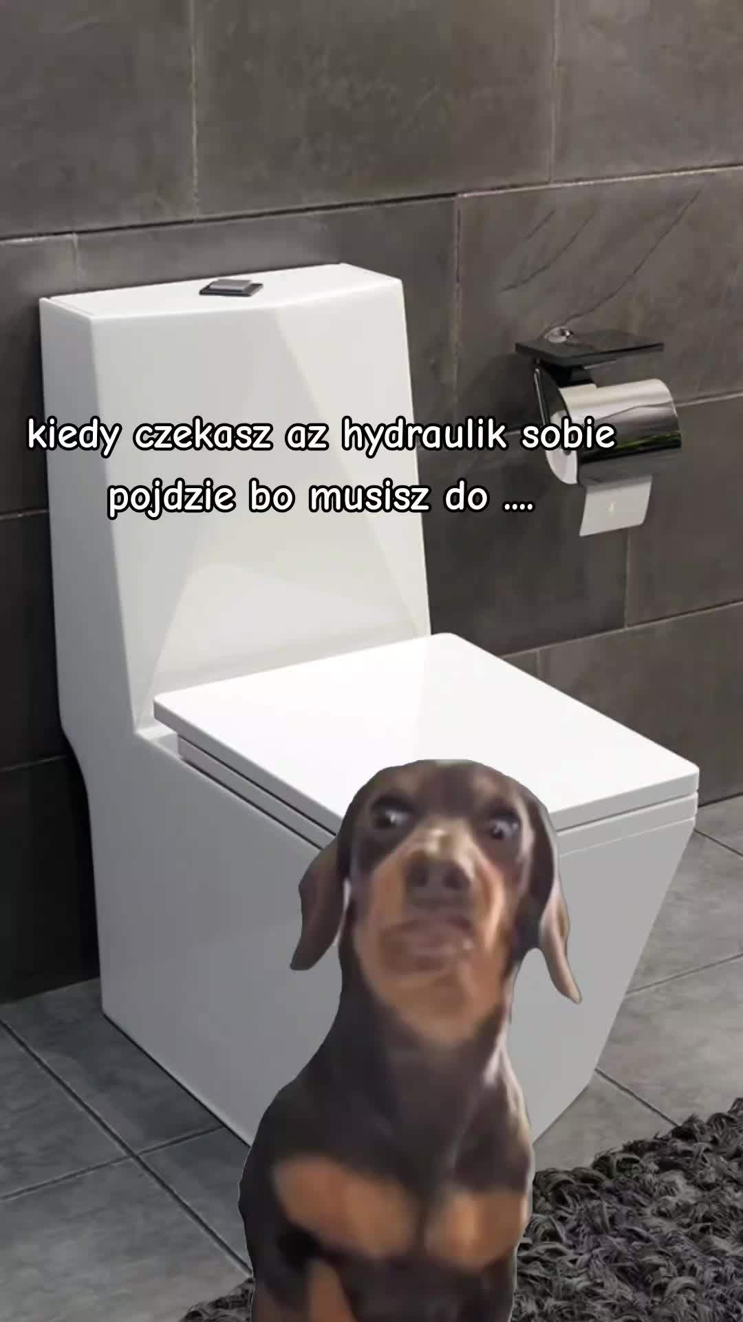 @N𝖎𝖐𝖆