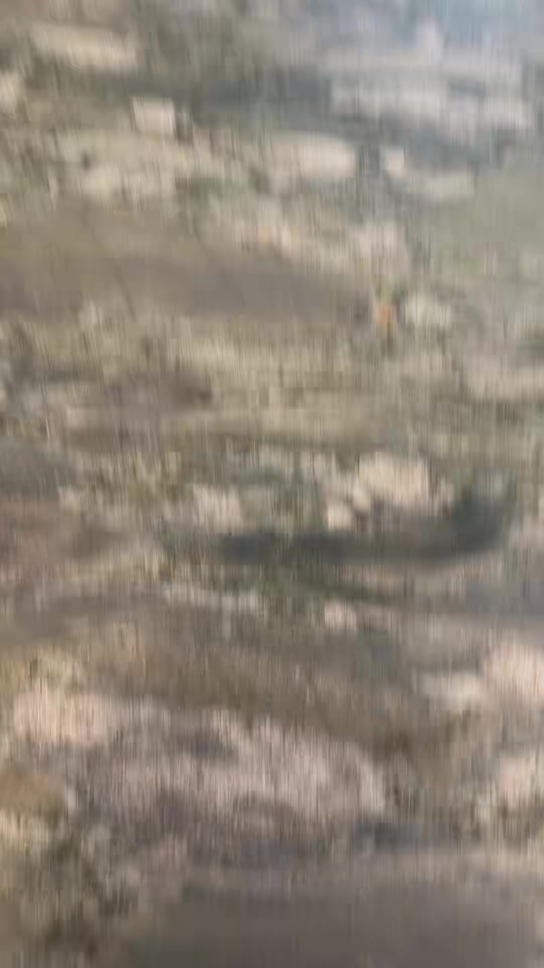 @Salvatore Di Dio