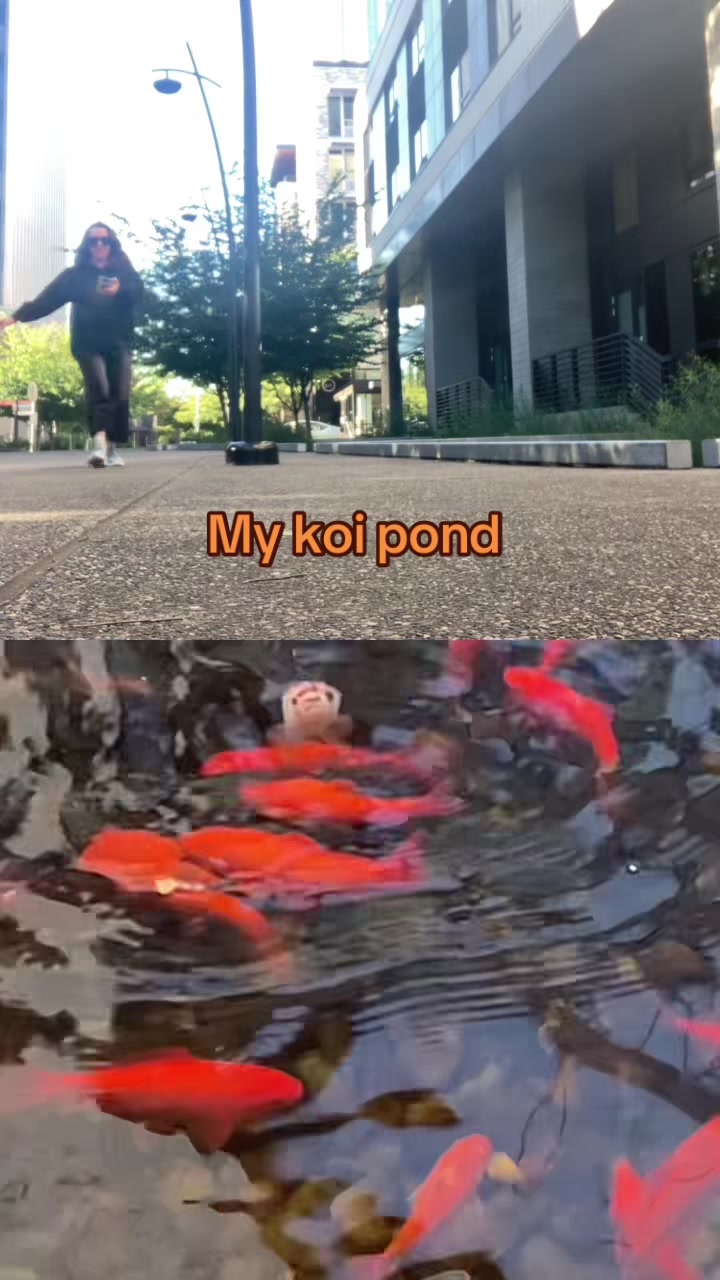 @serendipitous